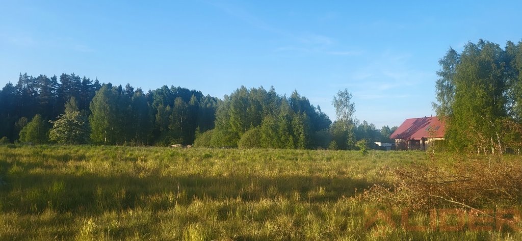 Sprzedam działkę rolną 3,78 ha z dostępem do drogi w Juchnowcu Juchnowiec Dolny  37 800m2 Foto 1