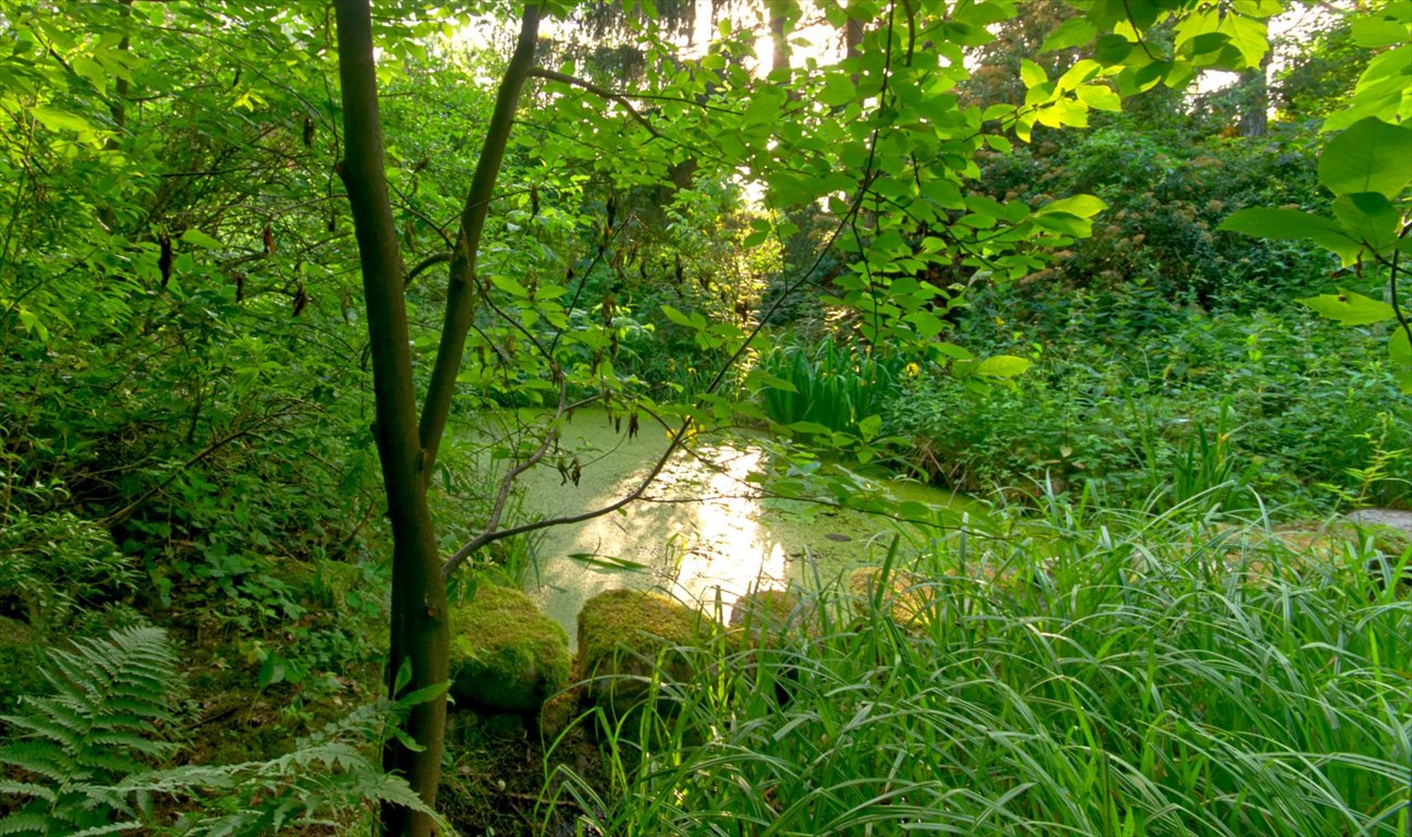 Dom na sprzedaż Józefów  400m2 Foto 19