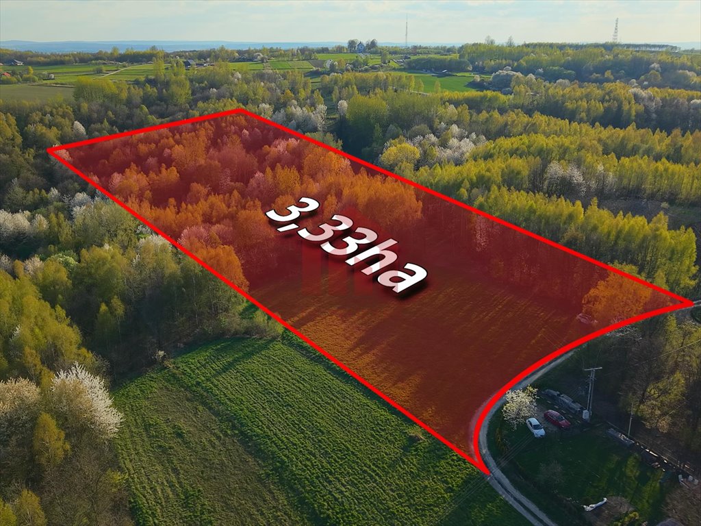Działka 3,33 ha z lasem i możliwością zabudowy w Kraczkowej Kraczkowa  33 000m2 Foto 1