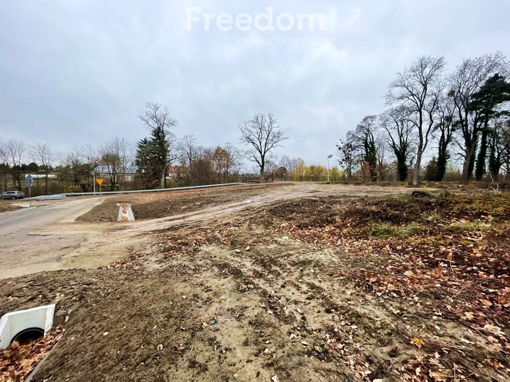 Działka rolna na sprzedaż Dobrzyki  2 000m2 Foto 4