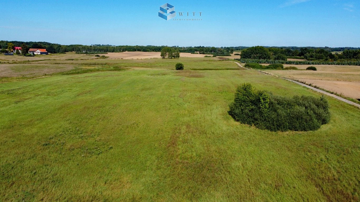 Działka rolna na sprzedaż Chojnik  102 500m2 Foto 5