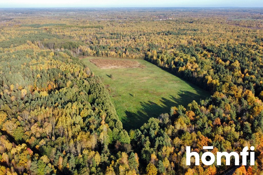 Działka budowlana na sprzedaż Chlewiska  130 600m2 Foto 4