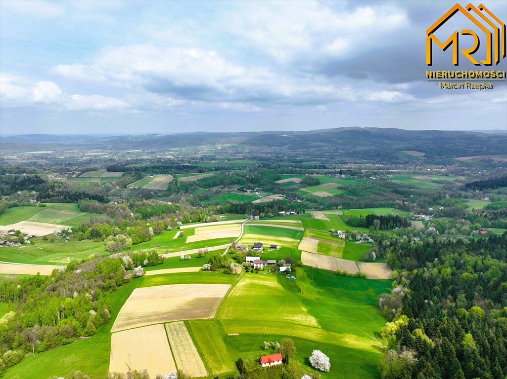 Działka inna na sprzedaż Słona  10 000m2 Foto 15