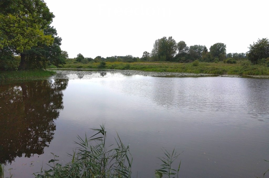 Działka rekreacyjna na sprzedaż Otwock Wielki, Zamkowa  3 427m2 Foto 12