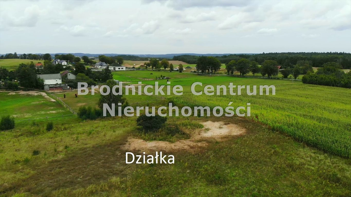 Działka rolna na sprzedaż Górzno, Górzno-Wybudowanie  252 000m2 Foto 8