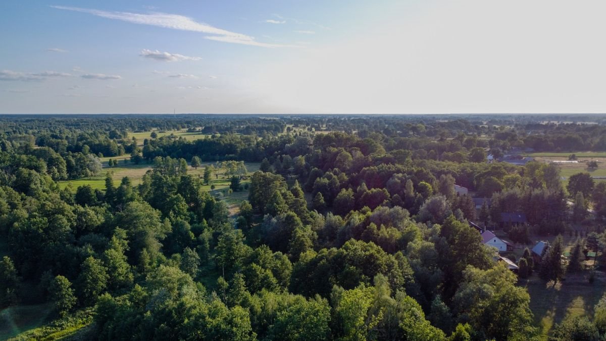 Działka budowlana na sprzedaż Zarzetka  1 319m2 Foto 6