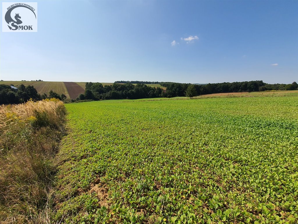 Działka budowlana na sprzedaż Władysław  1 590m2 Foto 2