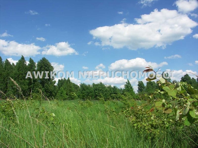 Działka rolna na sprzedaż Skierniewice, Borowiny  35 900m2 Foto 5