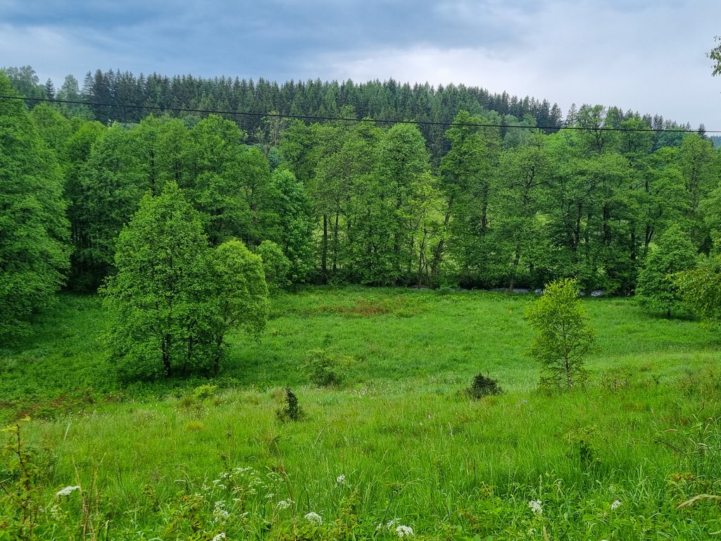 Działka inna na sprzedaż Niemojów  22 900m2 Foto 17