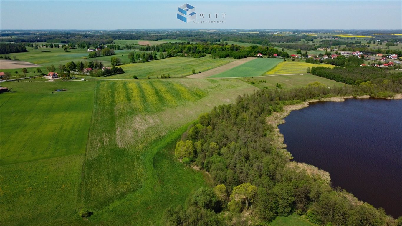 Działka inna na sprzedaż Zalewo  3 000m2 Foto 8