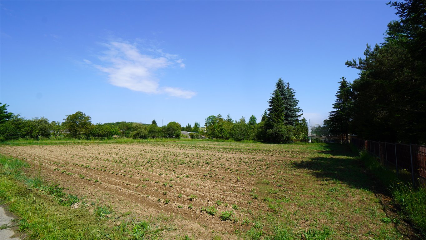 Działka budowlana na sprzedaż Lipinki  2 285m2 Foto 3