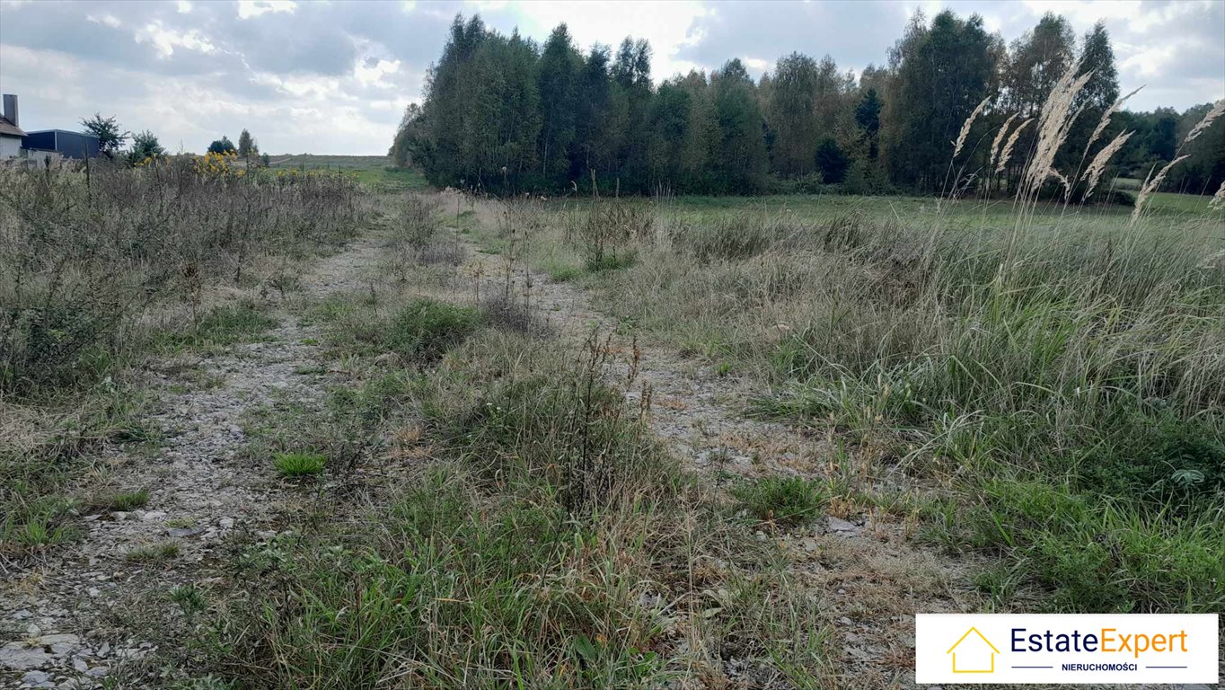 Działka budowlana na sprzedaż Wólka Pokłonna, Wólka Pokłonna  999m2 Foto 5