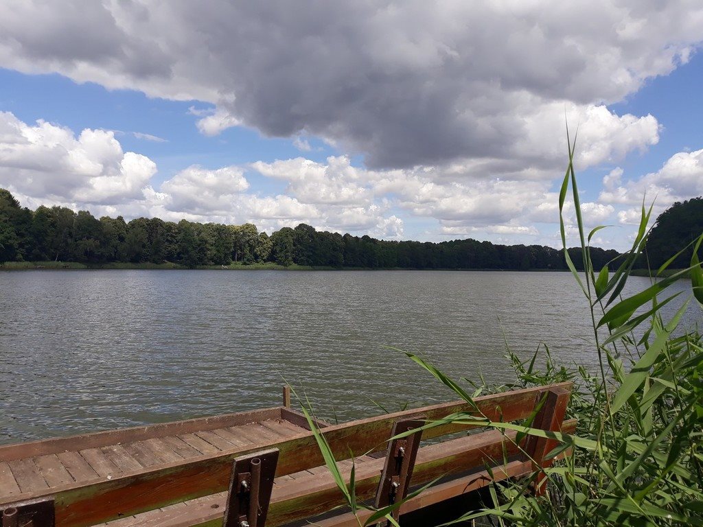 Polecam działkę nad jeziorem 500 m² w Starzycach Starzyce  500m2 Foto 1