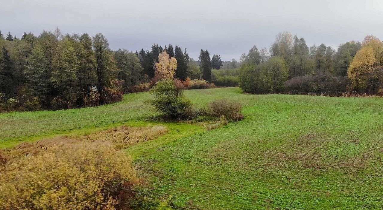 Działka rolna na sprzedaż Świętajno  3 010m2 Foto 15