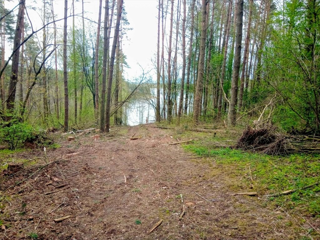 Działka rekreacyjna na sprzedaż Stare Juchy, Stare Juchy  3 000m2 Foto 15