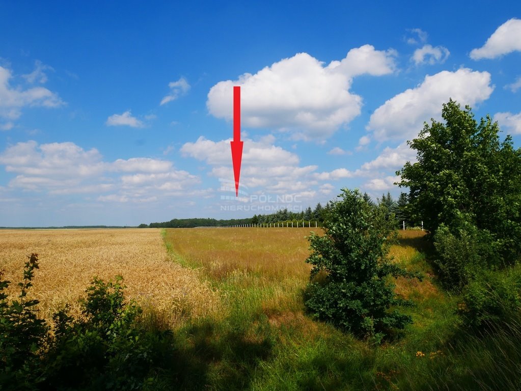 Działka rolna na sprzedaż Zebrzydowa  10 500m2 Foto 3