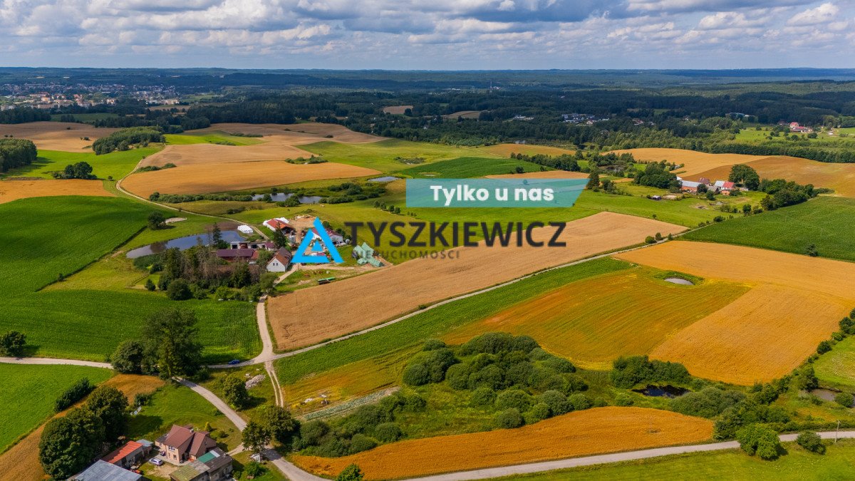 Działka rolna na sprzedaż Przęsin  58 038m2 Foto 1