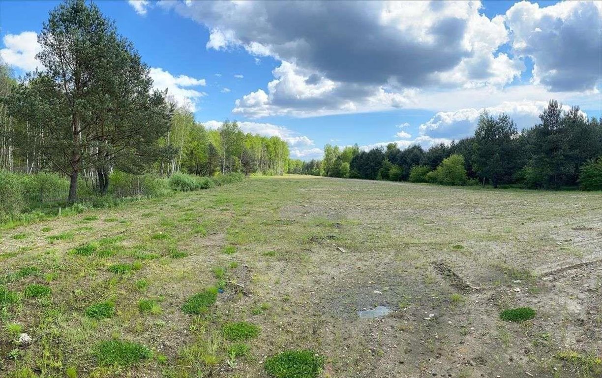 Działka budowlana na sprzedaż Żanęcin  1 636m2 Foto 2