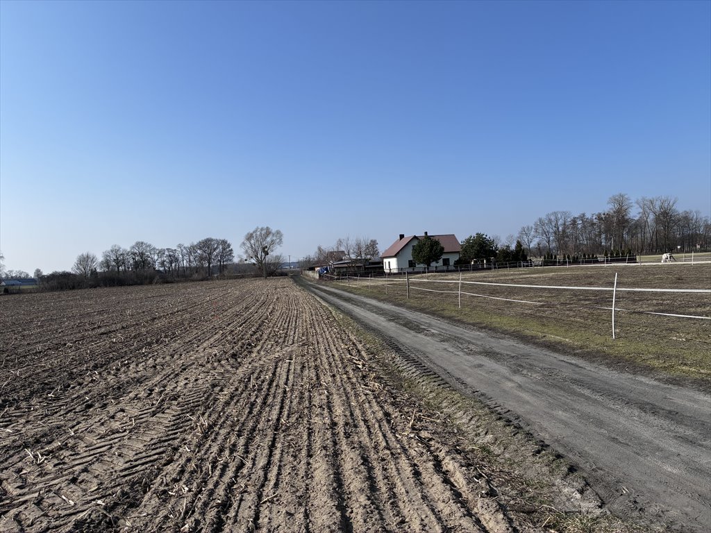Sprzedam działkę 1047 m² w Bronisławach z WZ i dostępem do drogi bronislawy, Bronisławy  1 047m2 Foto 1