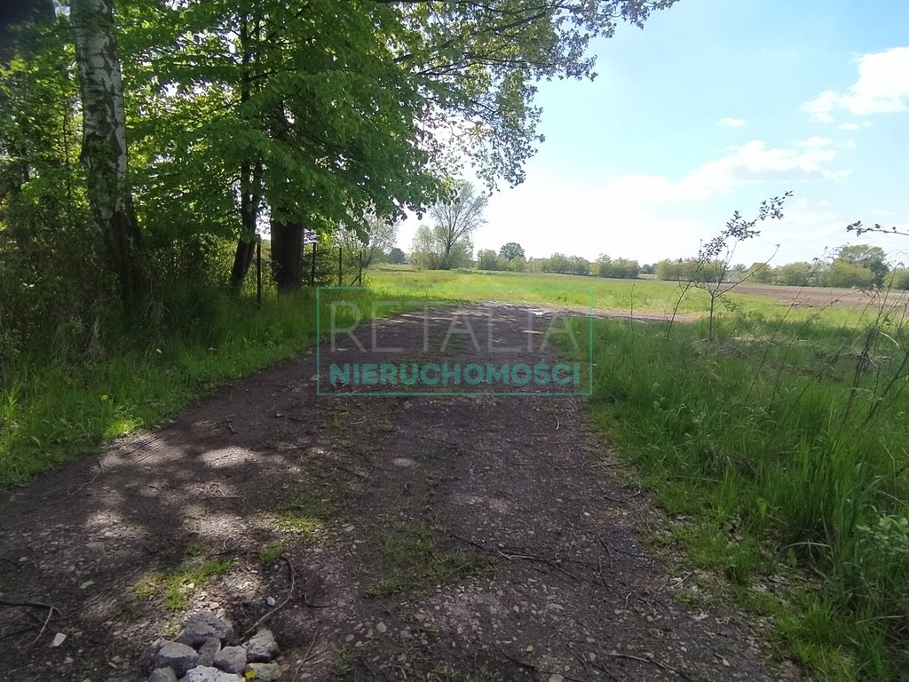 Działki pod zabudowę jednorodzinną 7 900 m², media w drodze Chrzanów Mały  7 900m2 Foto 1