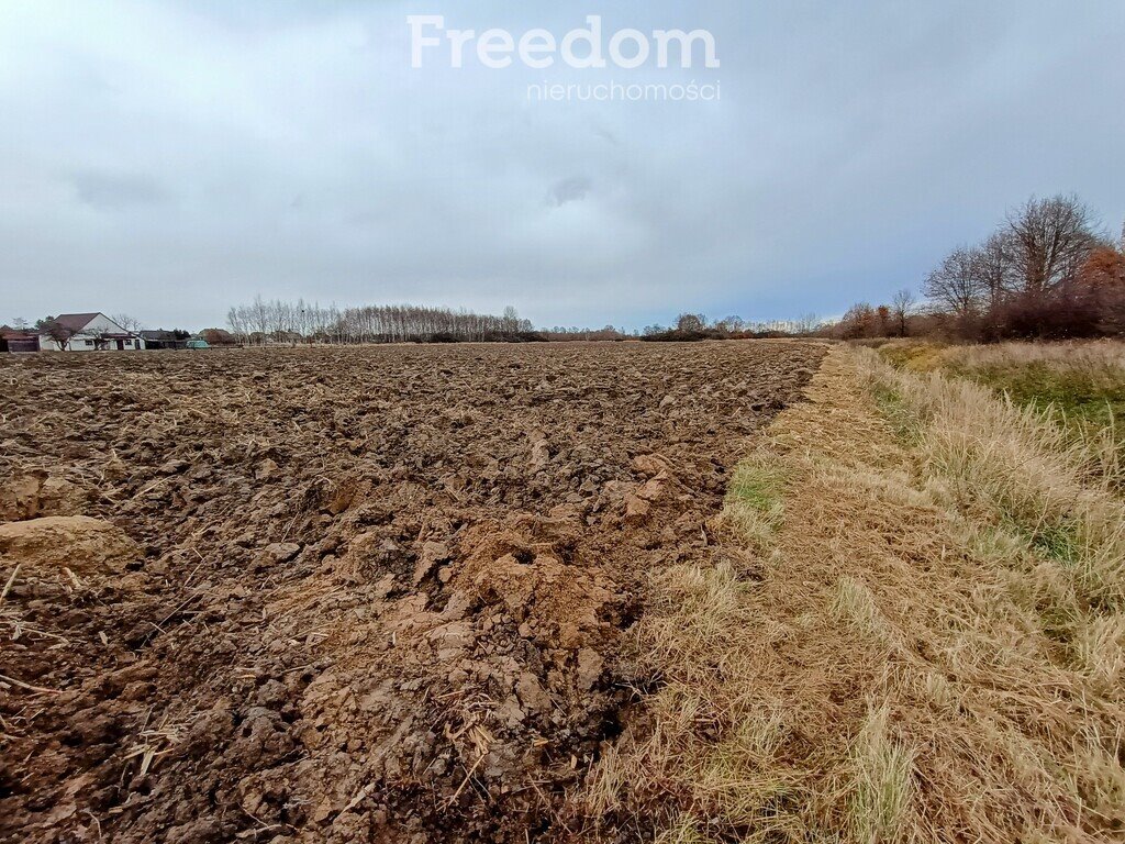 Działka budowlana na sprzedaż Chrząstowice, Długa  5 856m2 Foto 5