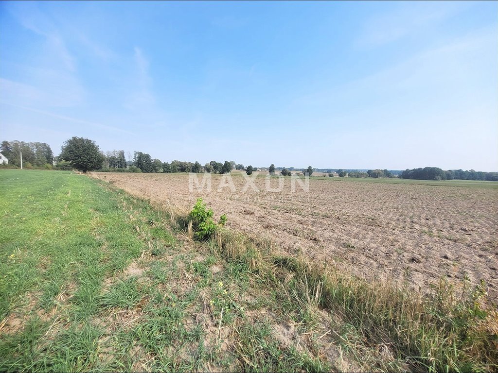 Działka budowlana na sprzedaż Powielin  22 600m2 Foto 14