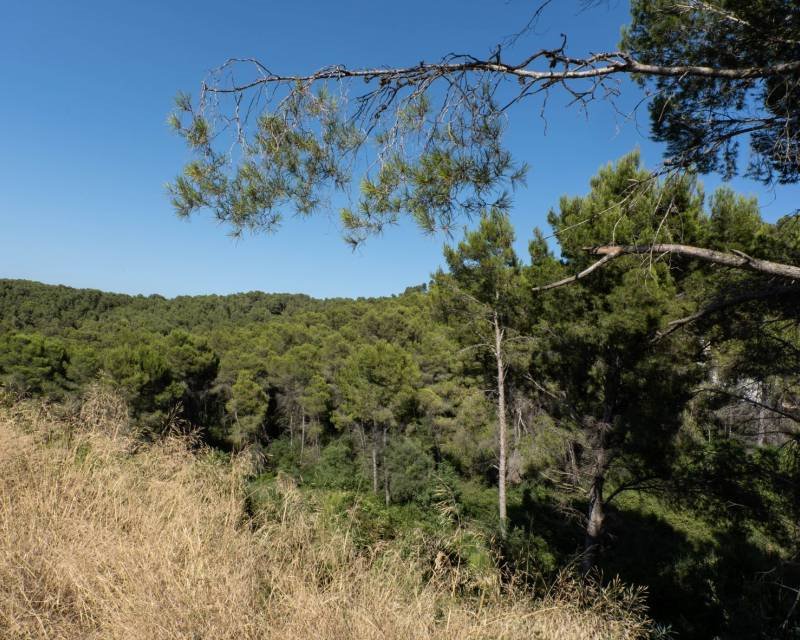 Działka budowlana na sprzedaż Hiszpania, Javea, Hiszpania, Rafalet  1 100m2 Foto 5