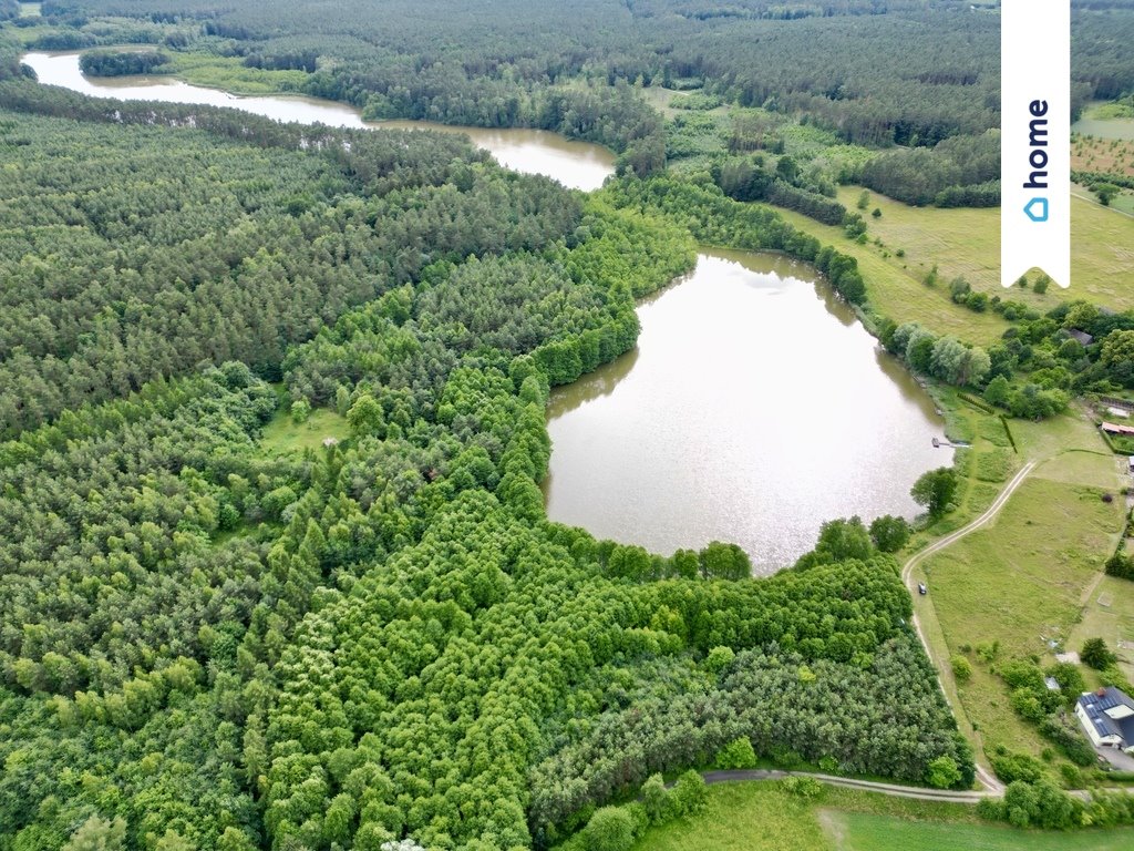 Działka siedliskowa na sprzedaż Jania Góra  884 000m2 Foto 5