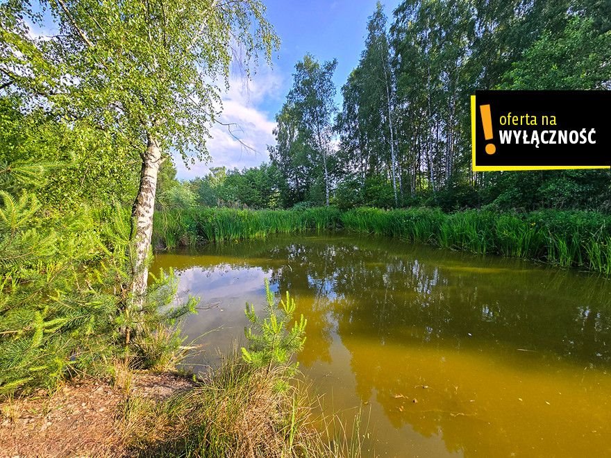 Urokliwe działki w Żukowie pod Solec Zdrój – 1,14 ha z stawem Żuków  11 163m2 Foto 1