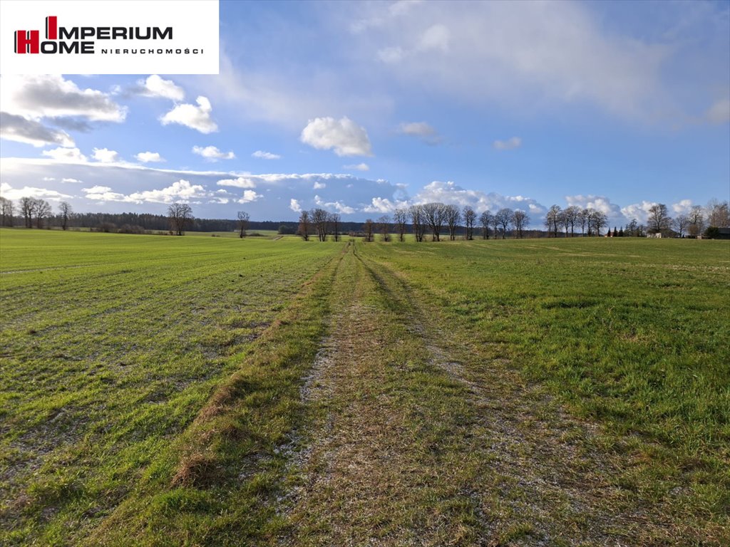 Gospodarstwo rolne 49 ha (dom, sprzęt, media) w Janiewicach Janiewice  490 000m2 Foto 1