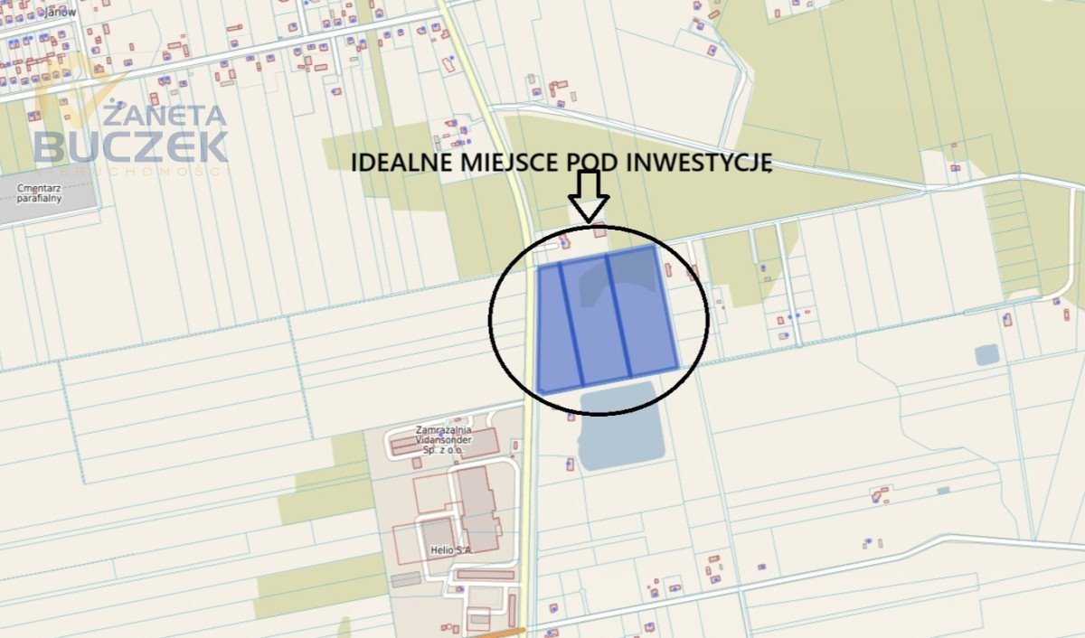 Zdjęcie 2
