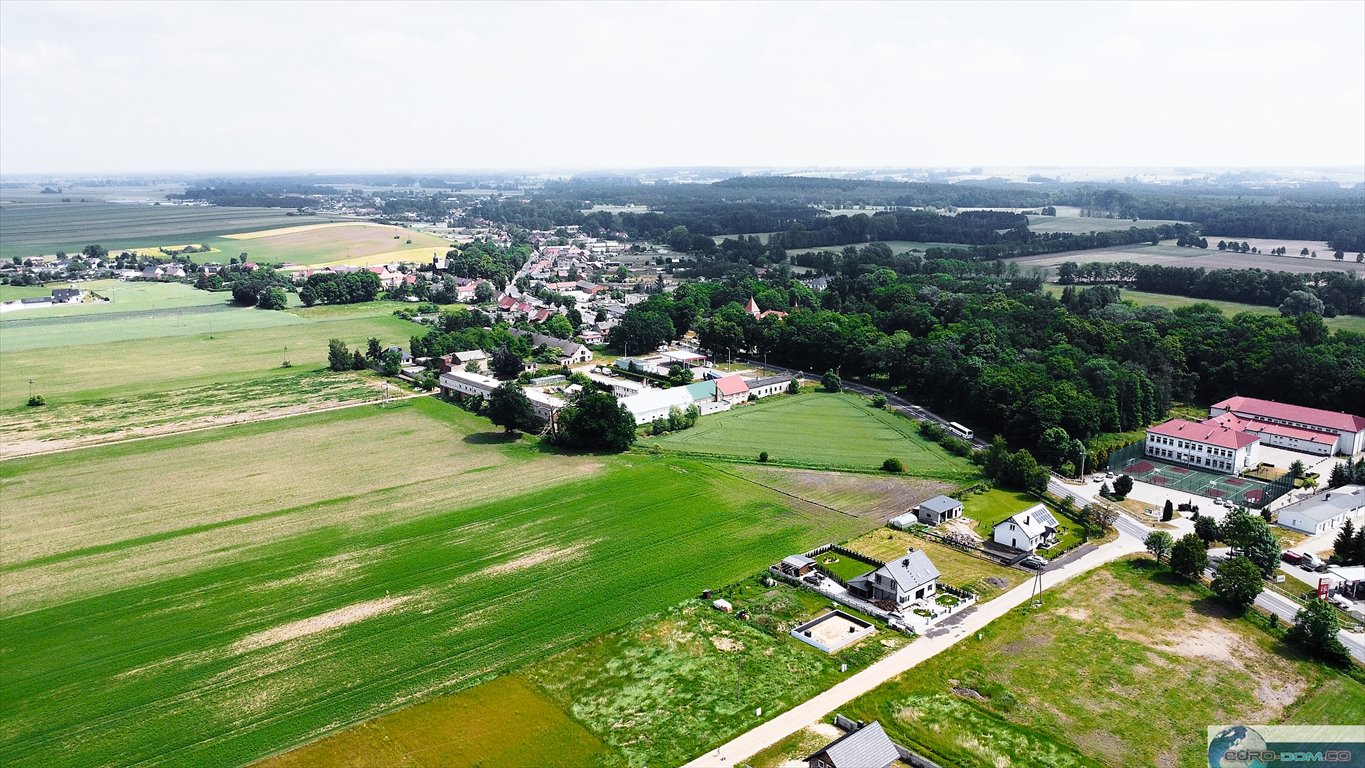 Działka budowlana na sprzedaż Bucz  916m2 Foto 6