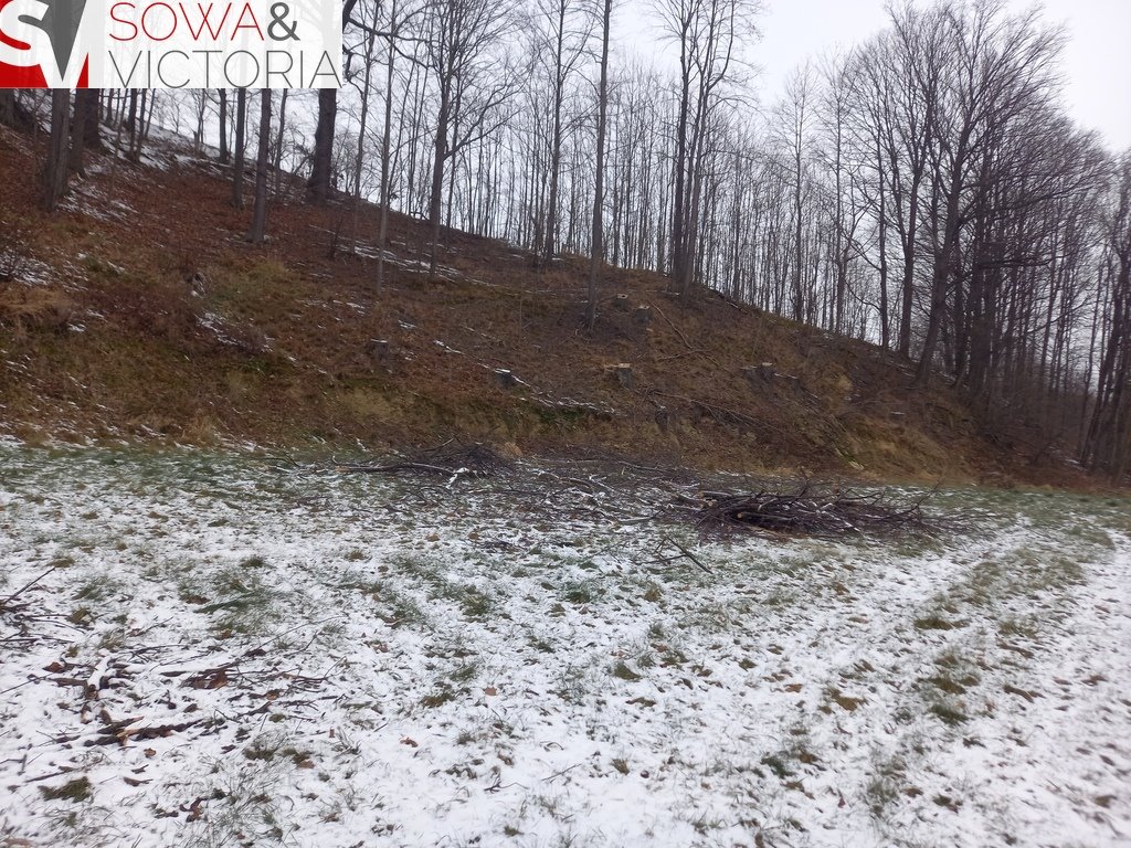 Działka budowlana na sprzedaż Chwaliszów  5 500m2 Foto 4