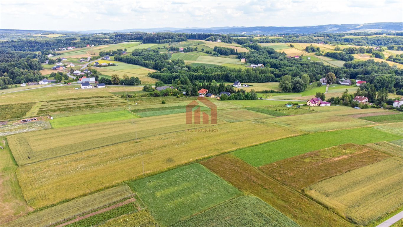 Działka budowlana na sprzedaż Broniszów  3 100m2 Foto 13