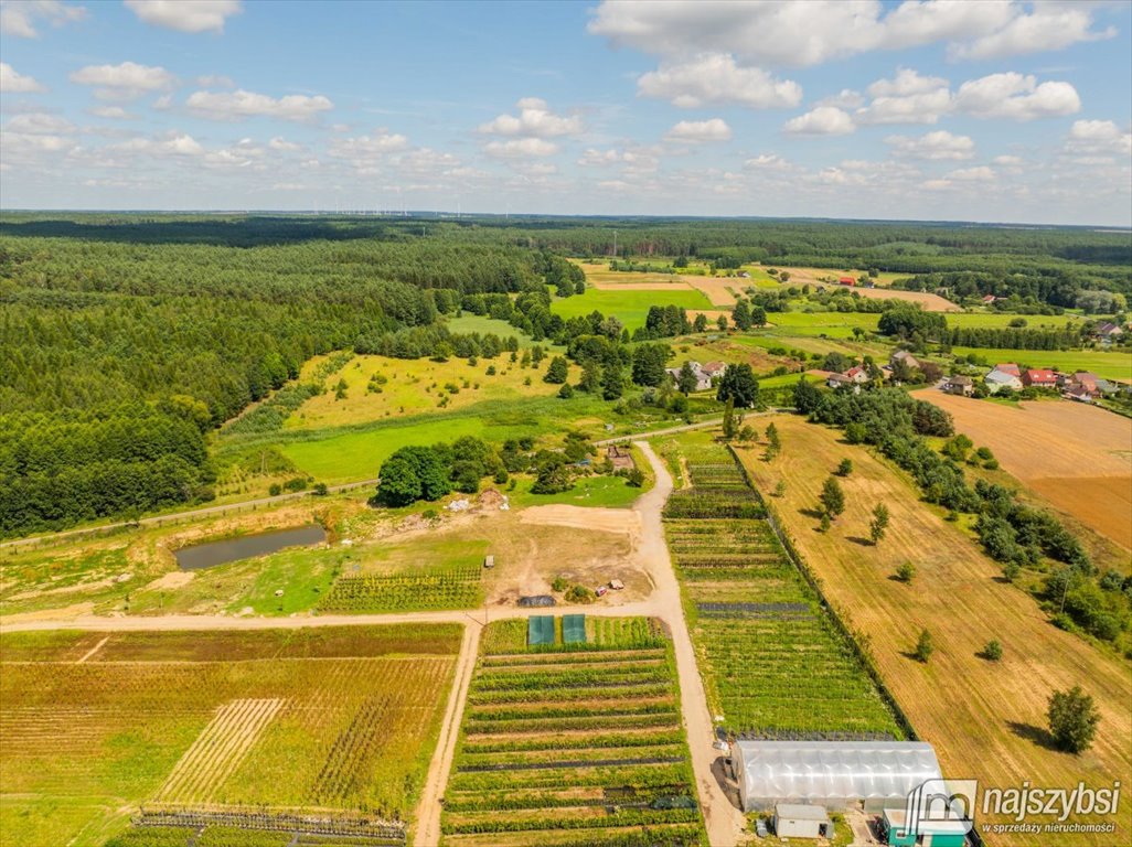 Działka rolna na sprzedaż Chojna  23 200m2 Foto 6