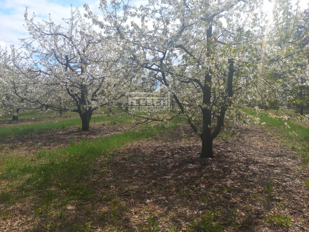 Działka rolna na sprzedaż Załęże Duże  7 300m2 Foto 4