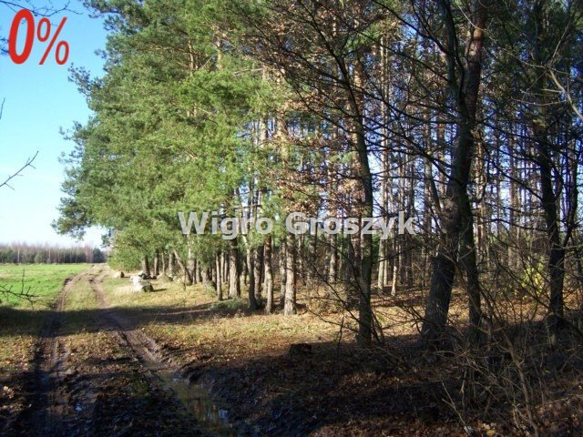 Działka leśna na sprzedaż Nasielsk, Bronin, Jasna  6 157m2 Foto 13