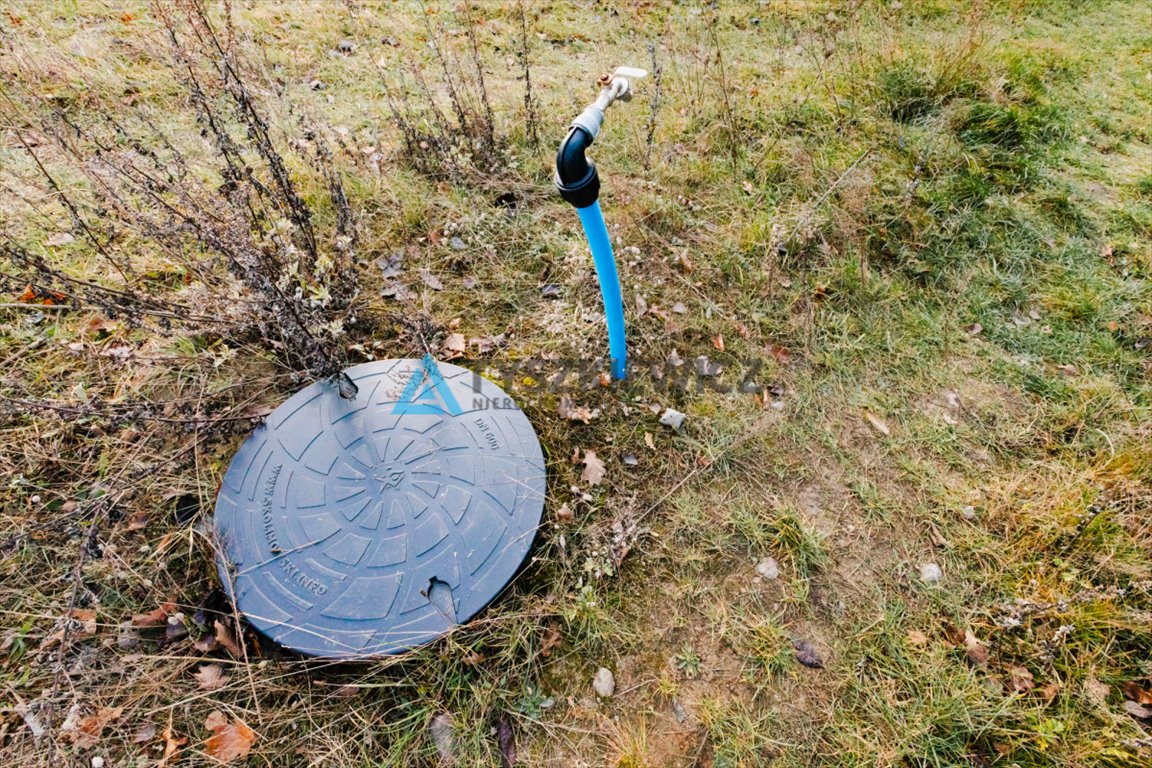 Działka budowlana na sprzedaż Skrzeszewo  2 603m2 Foto 6