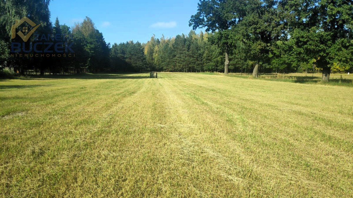 Działka w Lasocinie z warunkami zabudowy i dostępem do mediów Lasocin  4 885m2 Foto 1