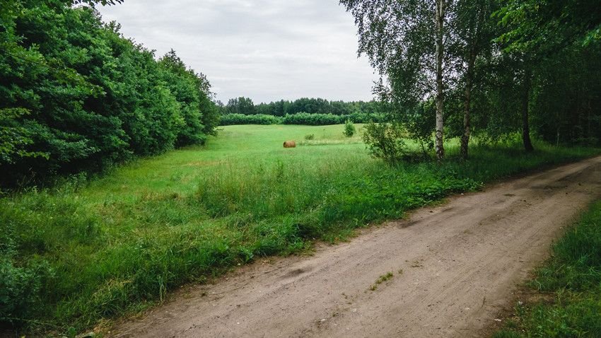 Działka rolna na sprzedaż Pajtuny  3 018m2 Foto 6