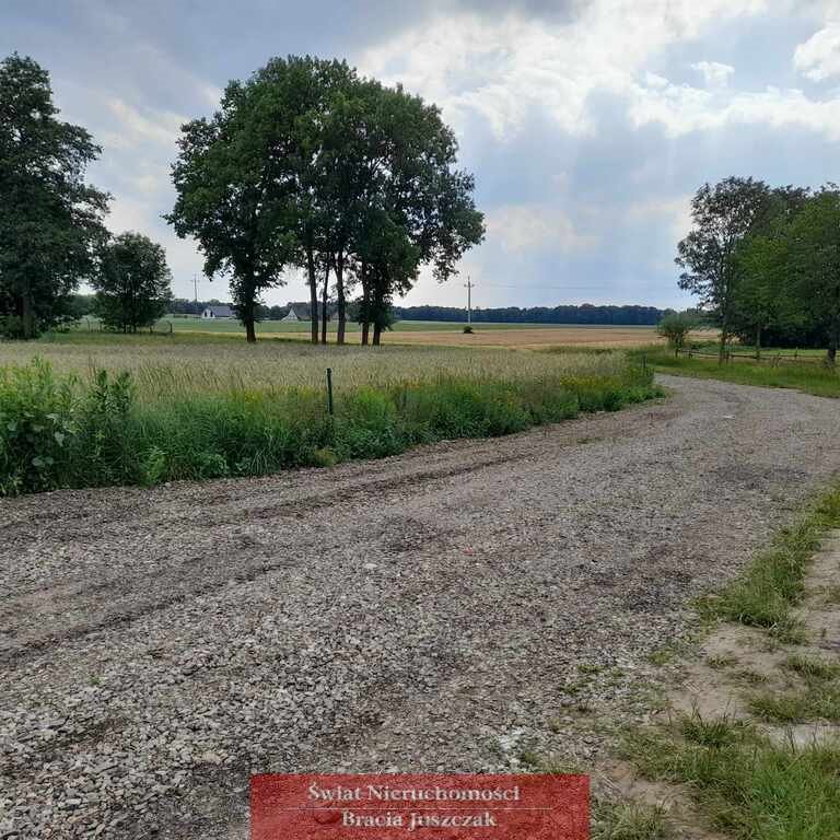 Działka budowlana na sprzedaż Ligota Polska  11 314m2 Foto 6