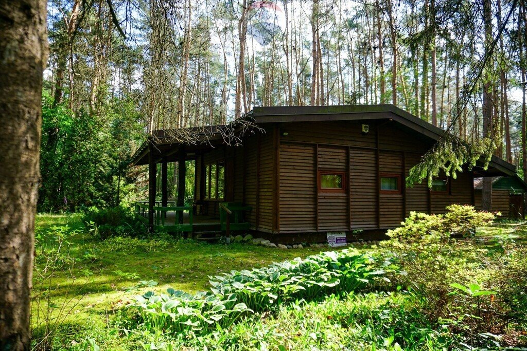 Działka z domkiem, las, media, 40 min do Warszawy Adamów-Wieś, Jagodowa  2 100m2 Foto 1