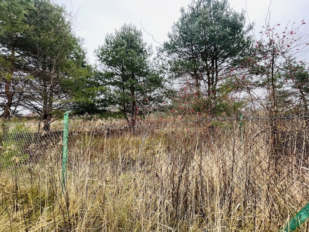 Działka budowlana na sprzedaż Łazy, Złota  1 000m2 Foto 5