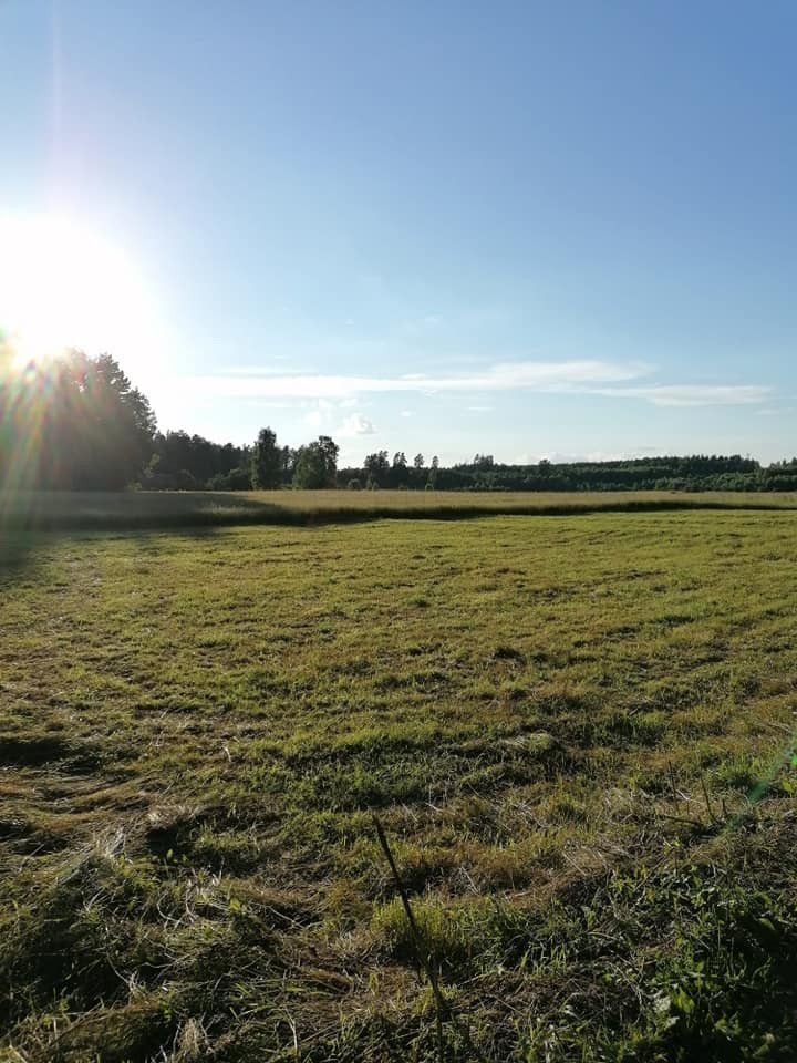 Działka gospodarstwo rolne na sprzedaż Rybniki  3 400m2 Foto 2