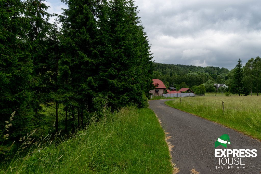 Działka budowlana na sprzedaż Stronie Śląskie  4 069m2 Foto 8