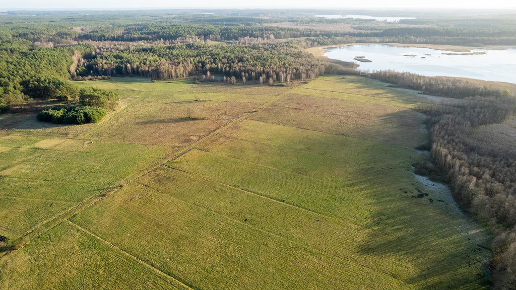 Działka rolna na sprzedaż Osiek  10 408m2 Foto 2