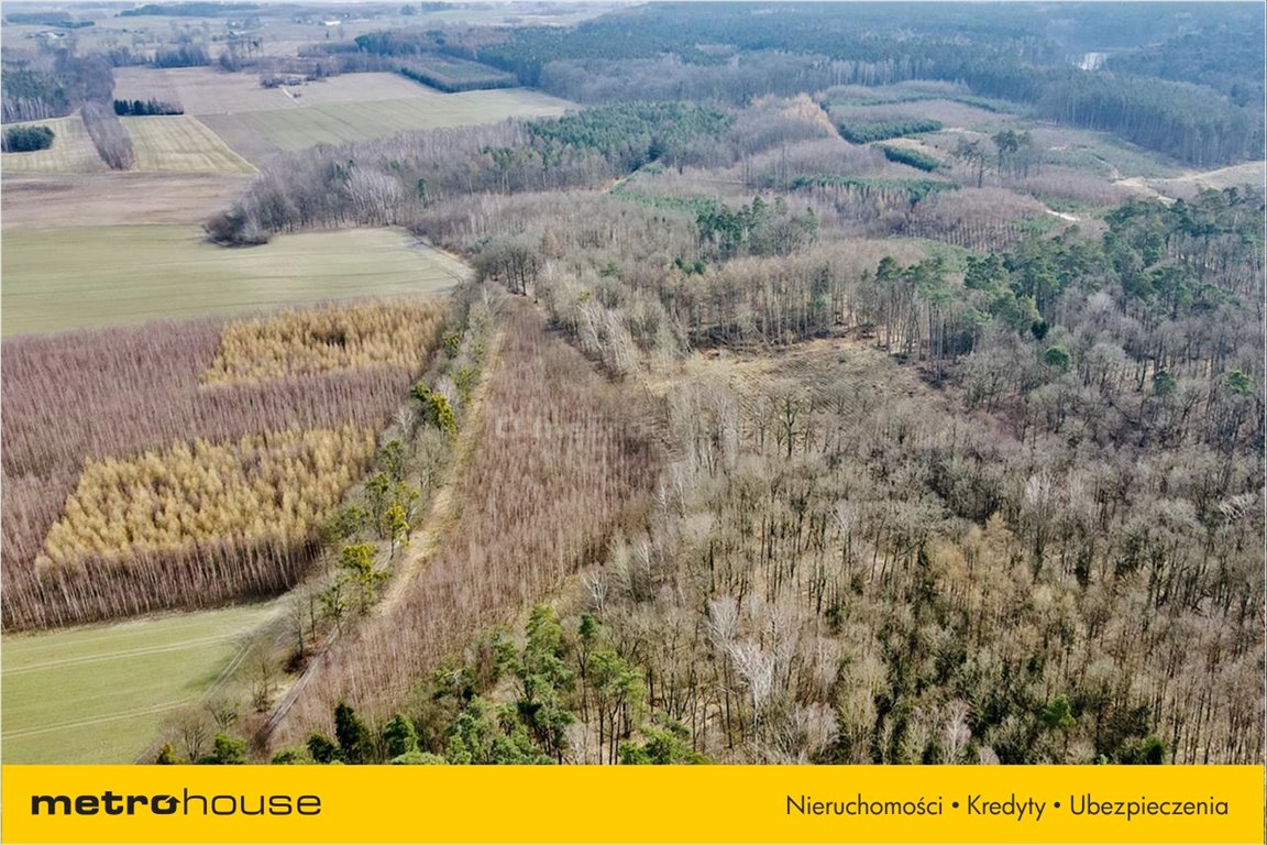 Sprzedam działkę Ogrodzieniec Kisielice , 7800 m2, 59000 PLN