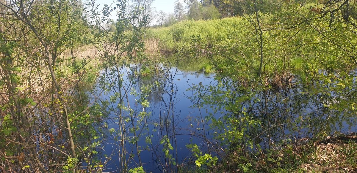 Działka budowlana na sprzedaż Józefów, Józefów gmina Dąbrówka  10 744m2 Foto 11