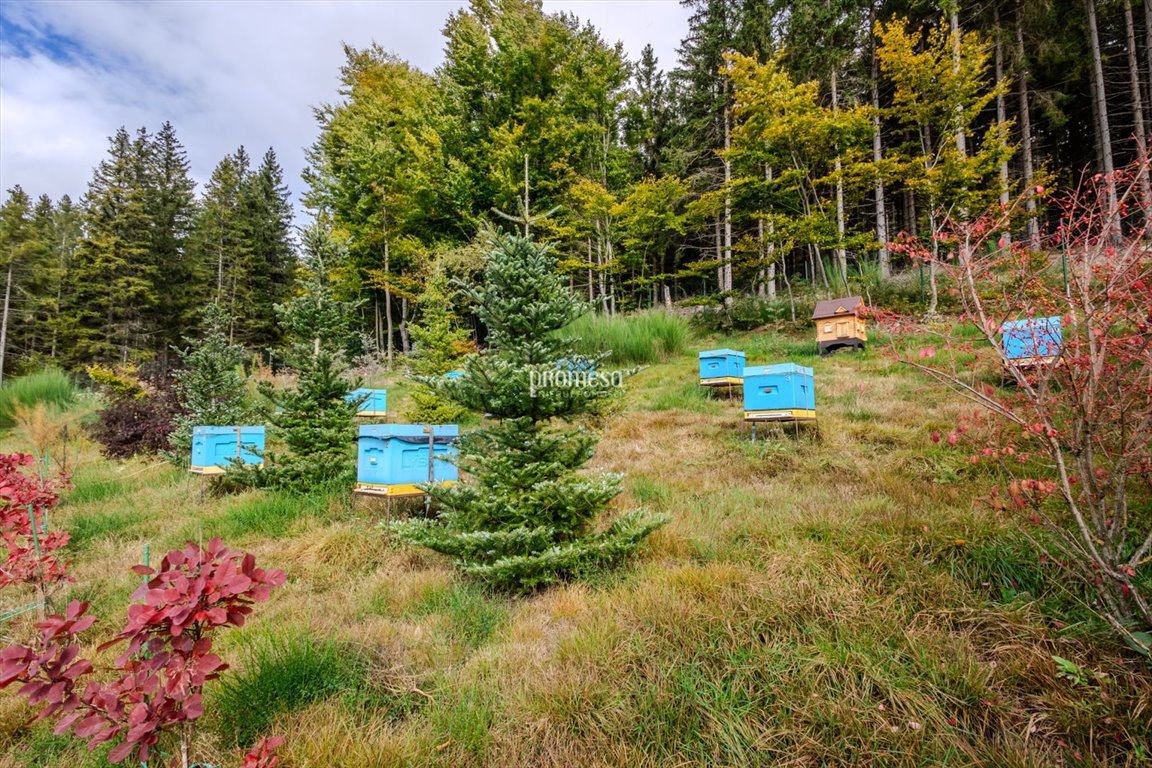 Dom na sprzedaż Jarkowice, Aleja Dębowa  190m2 Foto 10