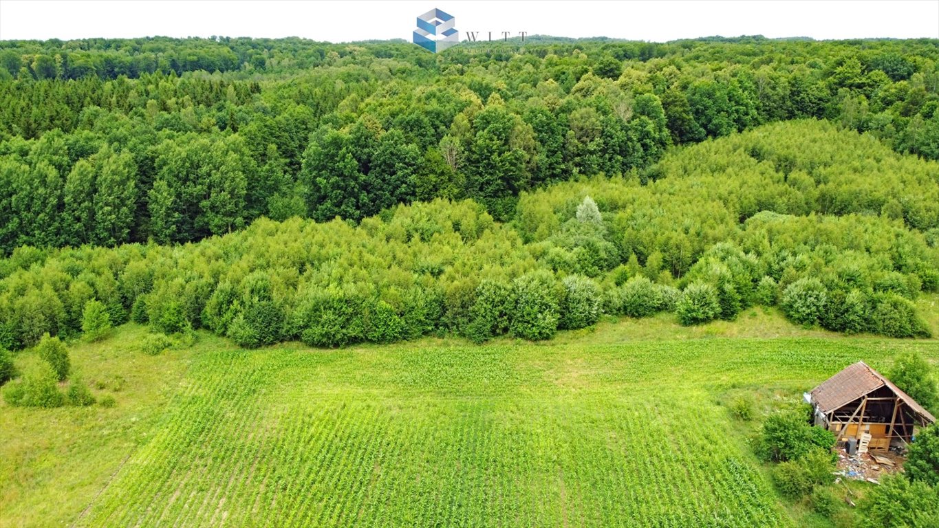 Działka budowlana na sprzedaż Łączno  1 500m2 Foto 13